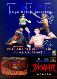 Thea Realm Fighters Jaguar US box art