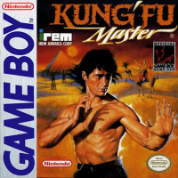 Kung Fu Master GameBoy  box art