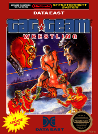 Tag Team Wrestling NES US box art