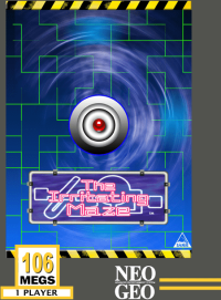 Irritating Maze Neo Geo US box art